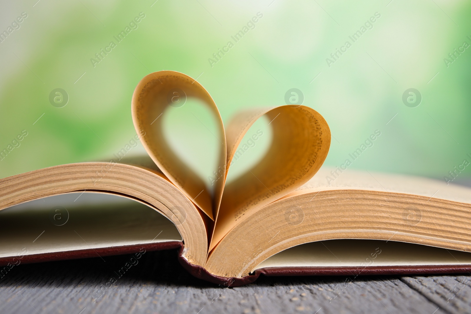 Photo of Open book on grey wooden table against blurred green background, closeup