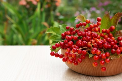 Bowl with ripe viburnum berries on white wooden table outdoors, space for text