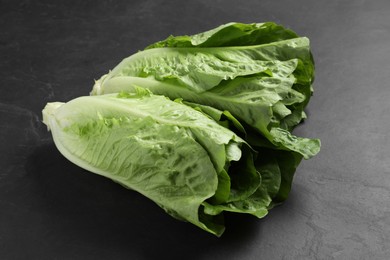 Photo of Fresh green romaine lettuces on dark table