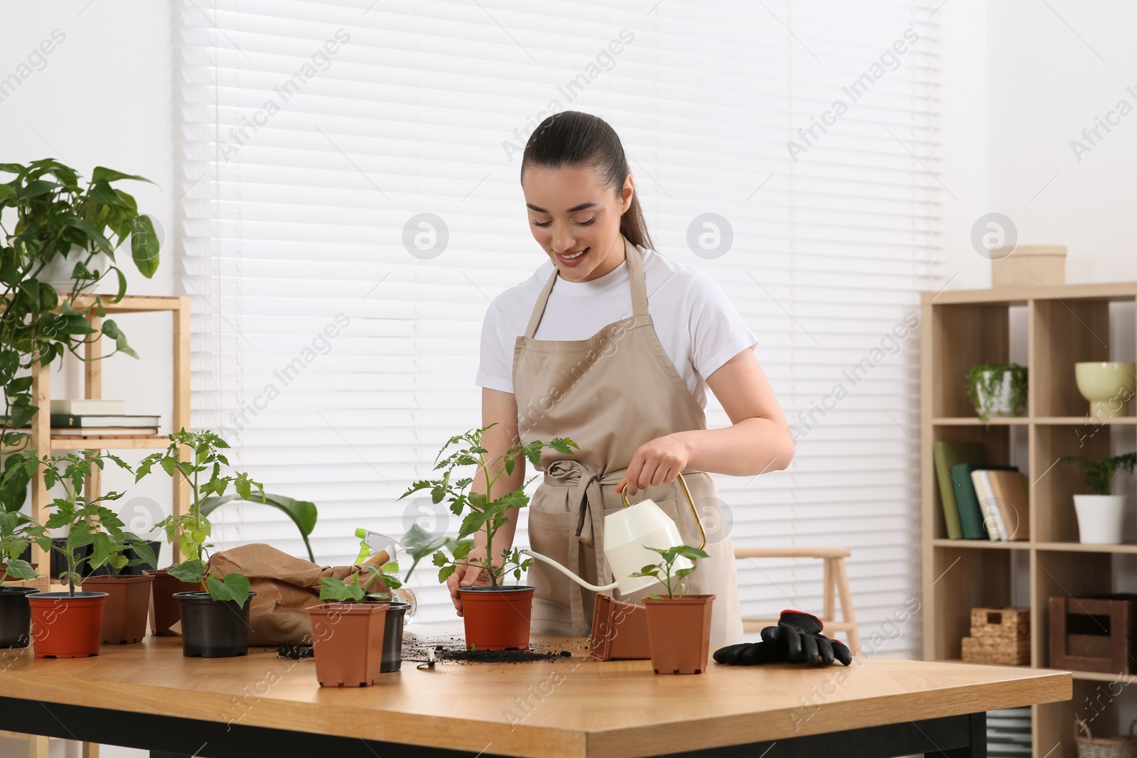 Photo of Happy woman watering seedling in pot at wooden table in room