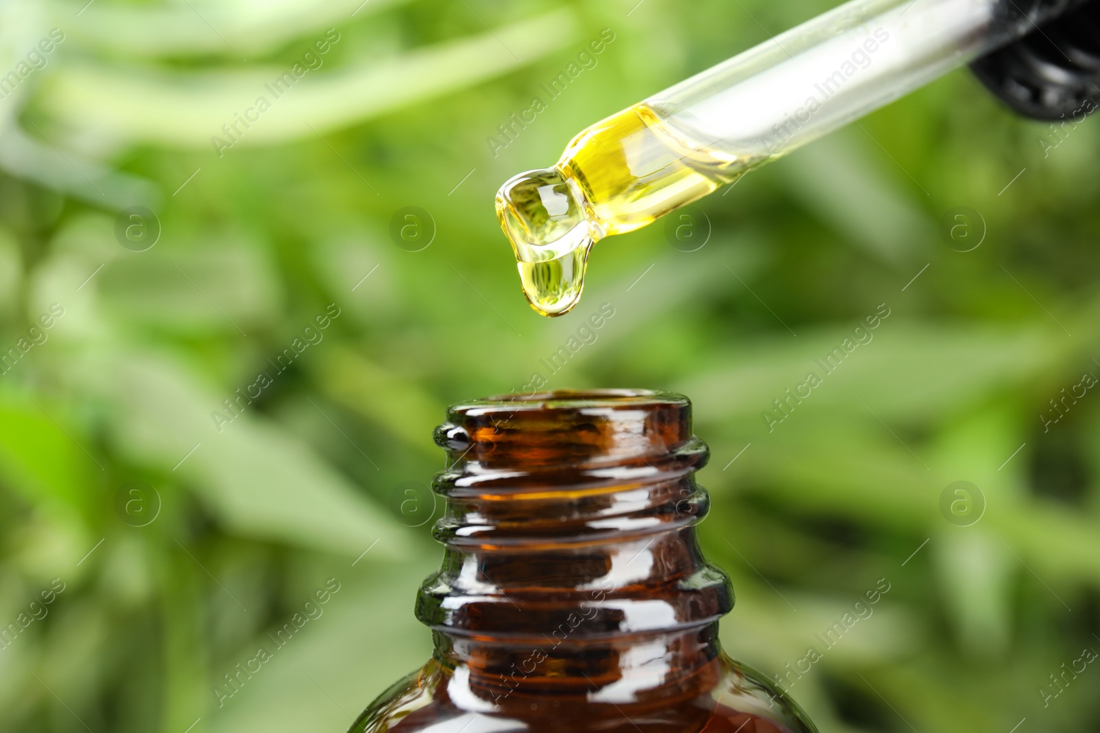 Photo of Dripping essential oil from pipette into glass bottle against blurred green background, closeup
