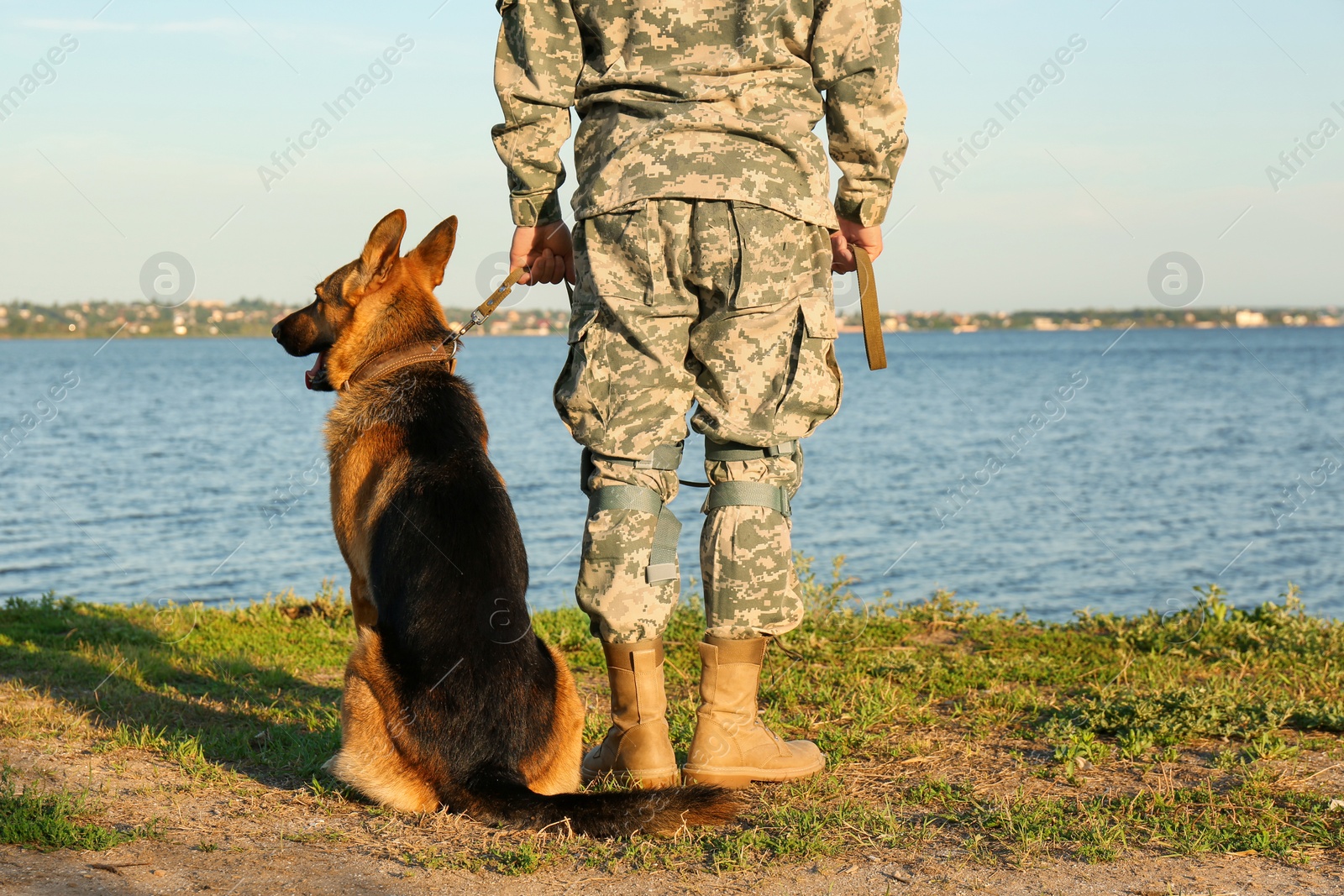 Photo of Man in military uniform with German shepherd dog outdoors, closeup