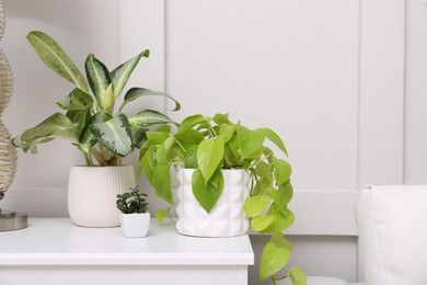 Photo of Different houseplants on white table near light wall. Interior accessories