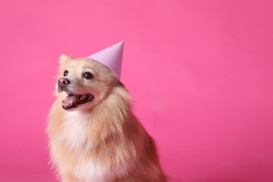 Cute dog with party hat on pink background, space for text. Birthday celebration