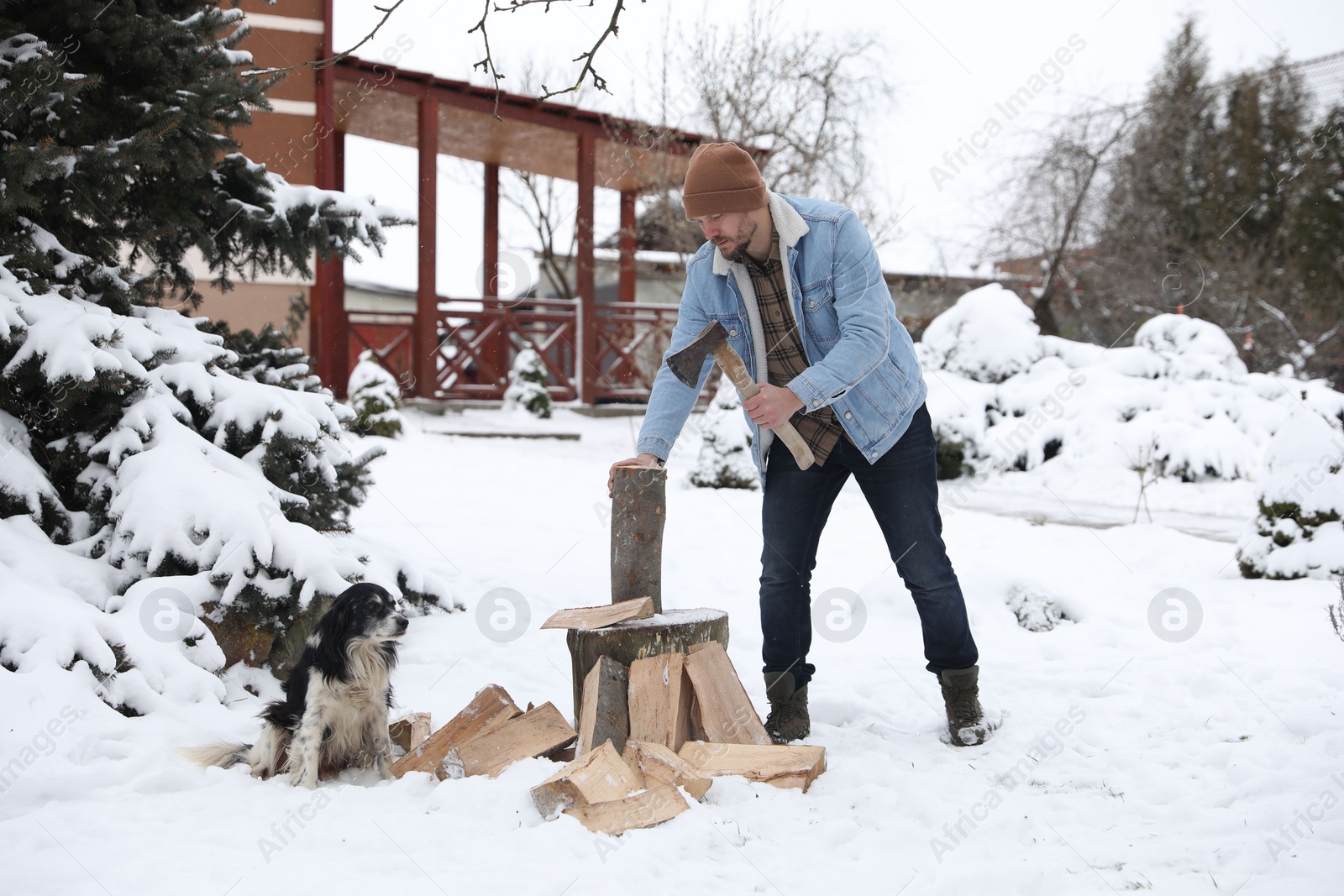 Photo of Man chopping wood with axe next to cute dog outdoors on winter day