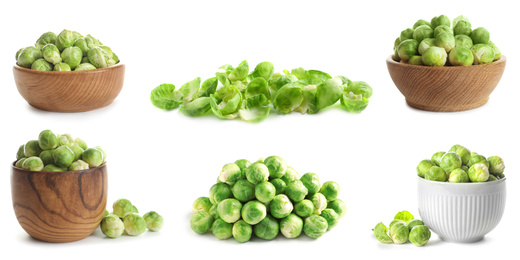 Set of fresh Brussels sprouts on white background. Banner design 