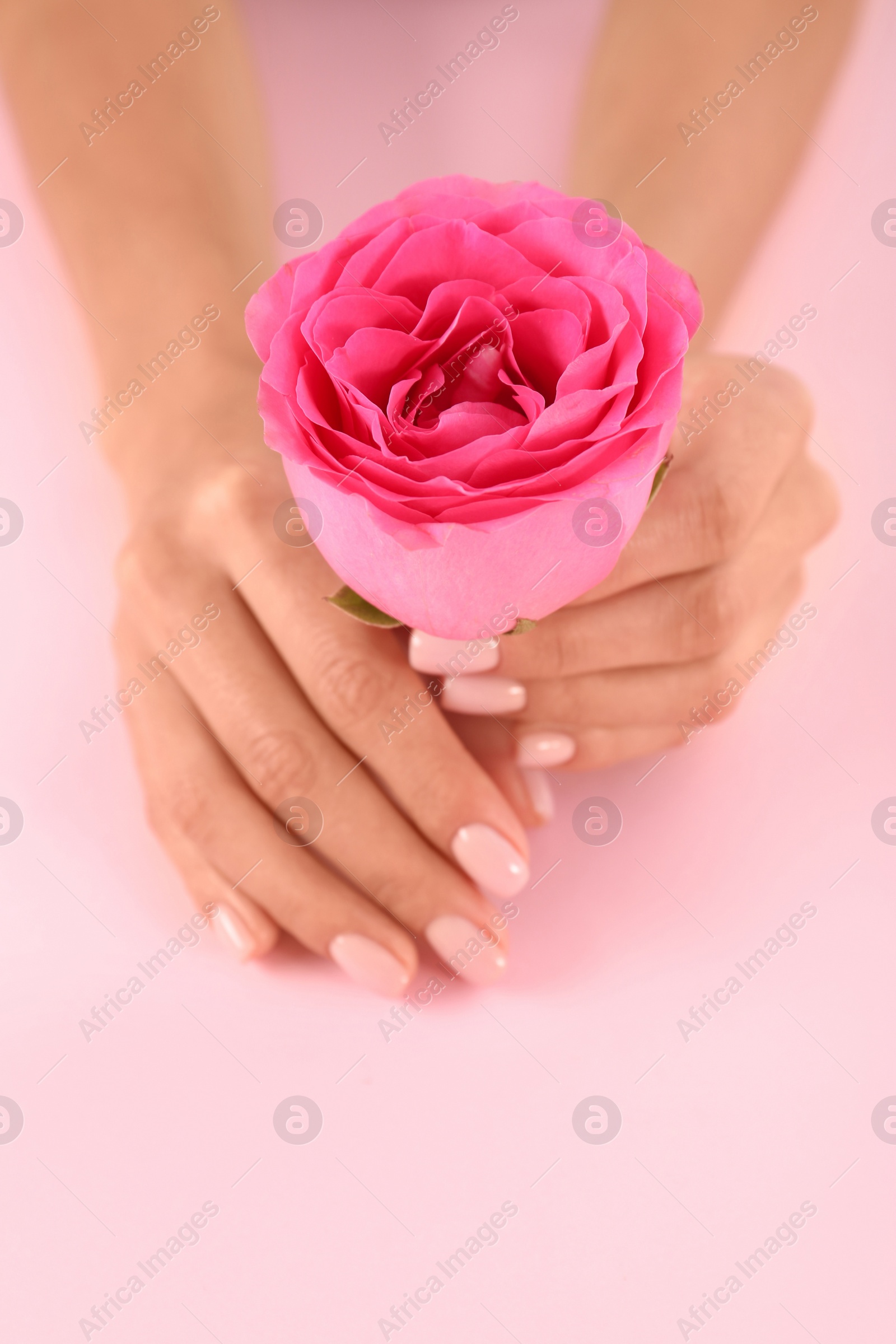 Photo of Closeup view of woman with rose on color background. Spa treatment