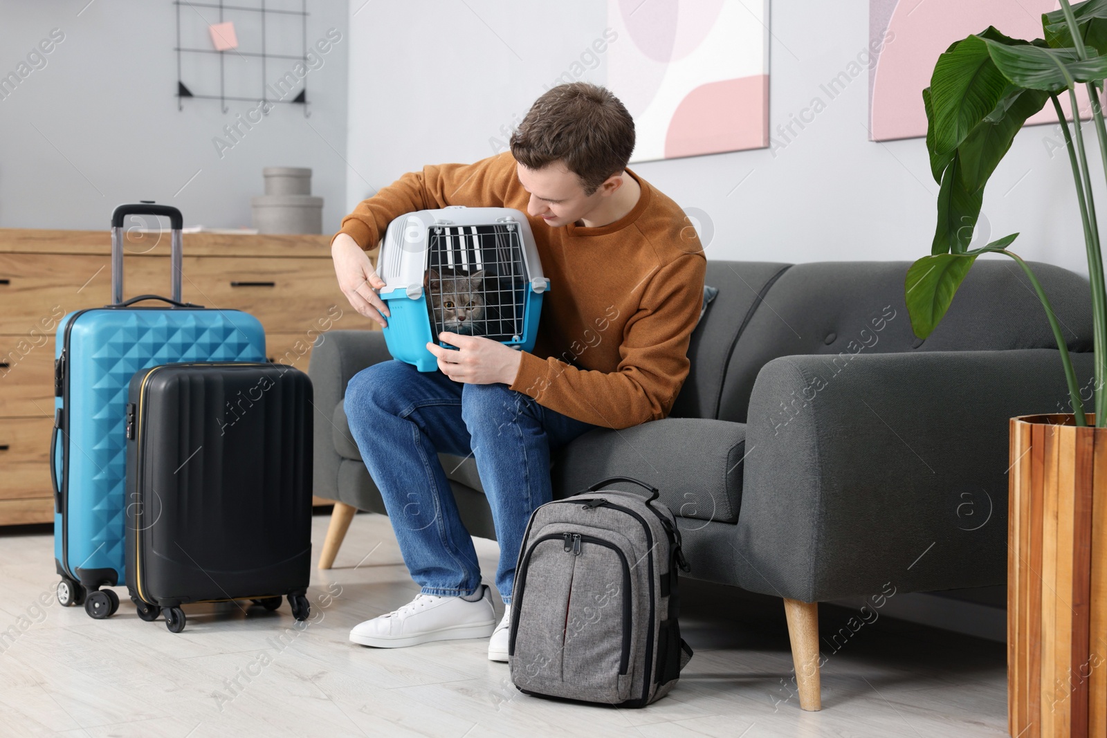 Photo of Travel with pet. Man holding carrier with cute cat on sofa at home