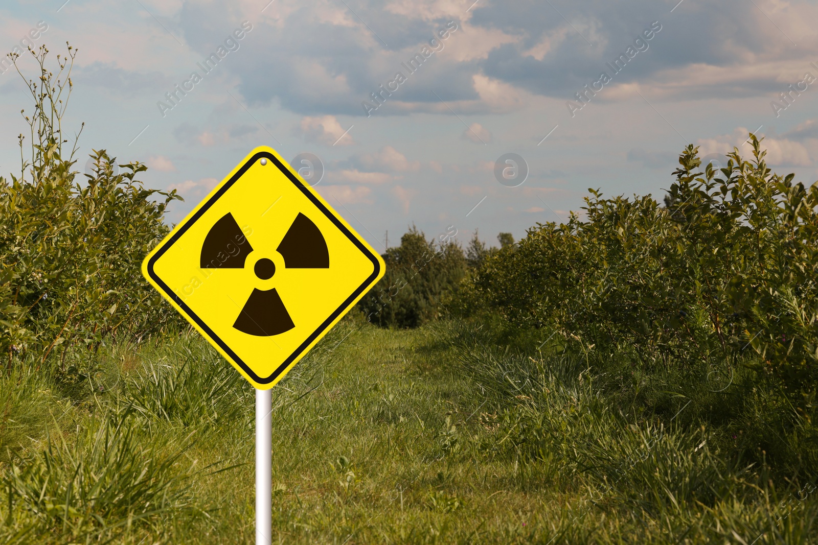 Image of Radioactive pollution. Yellow warning sign with hazard symbol in rural area