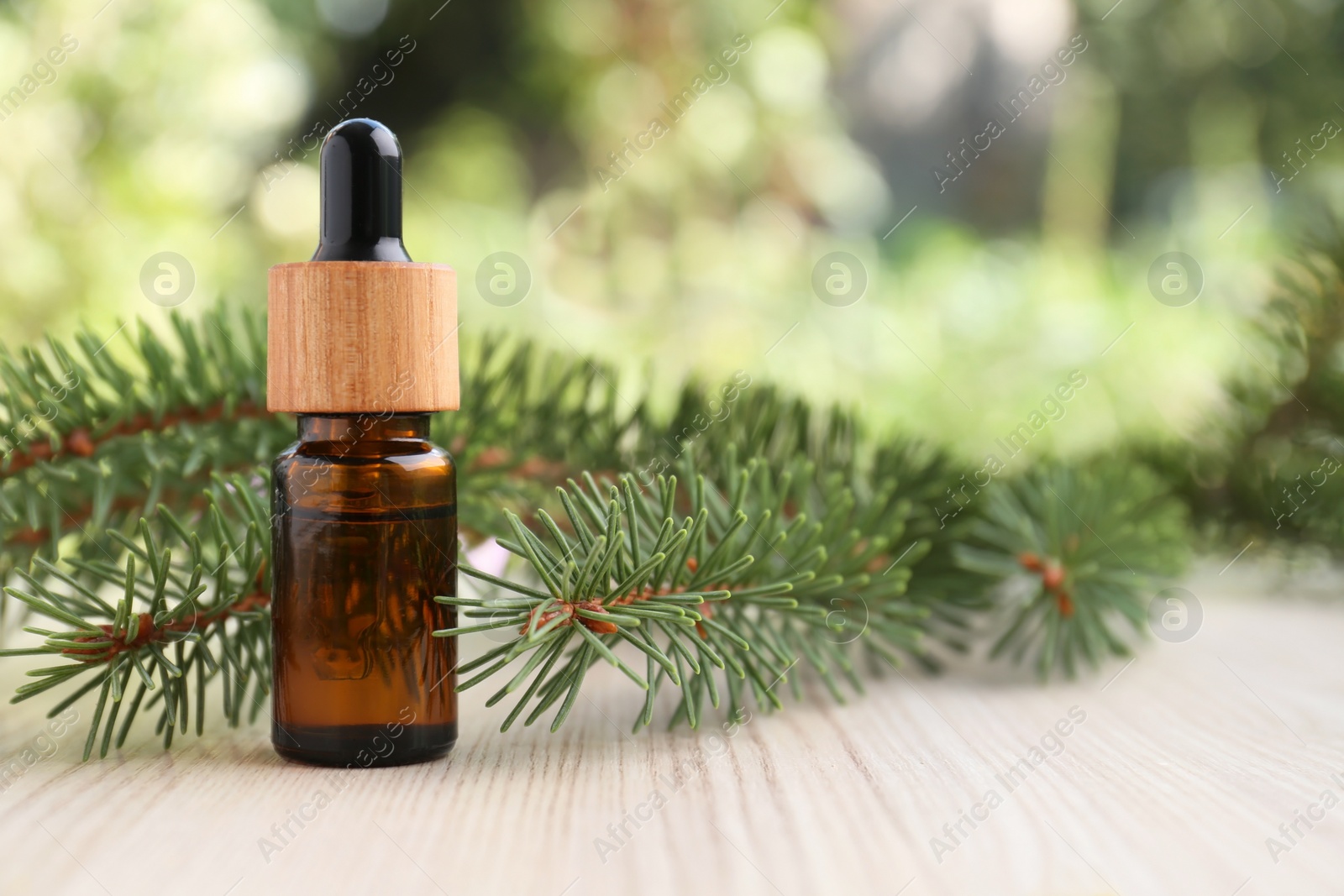 Photo of Pine essential oil and branches on white wooden table, closeup