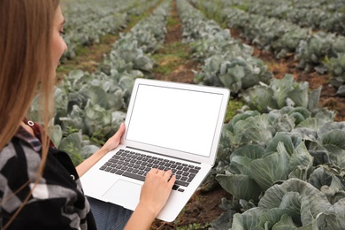 Woman using laptop with blank screen in field, closeup. Agriculture technology