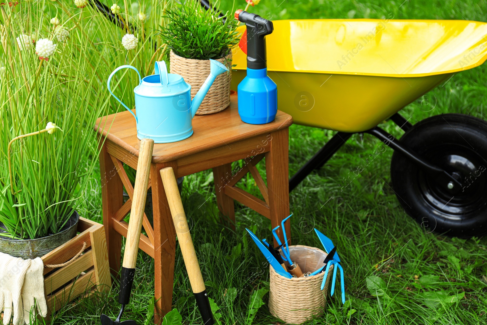 Photo of Composition with gardening tools on green grass