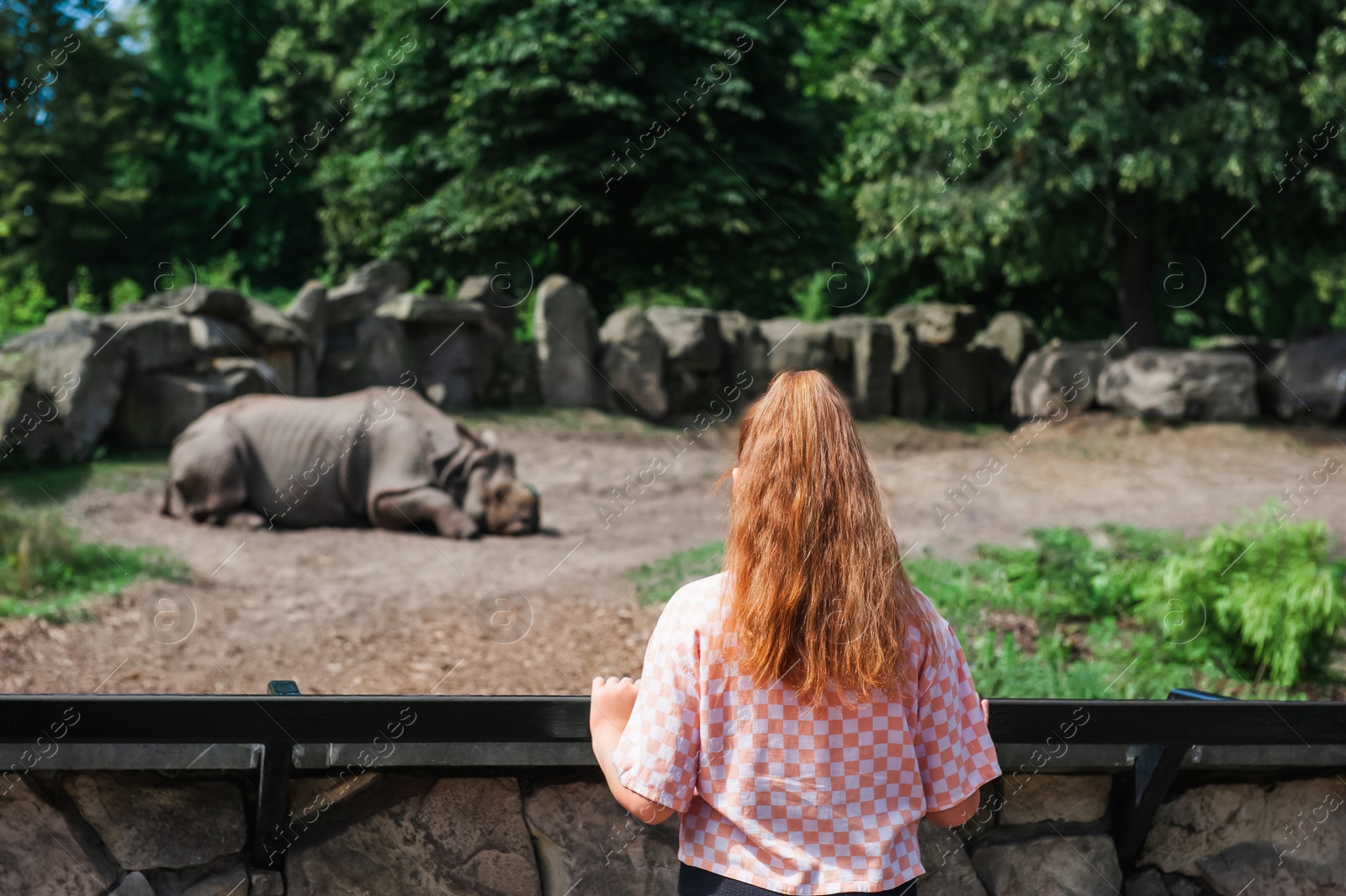 Photo of Little girl watching wild rhinoceros in zoo, back view