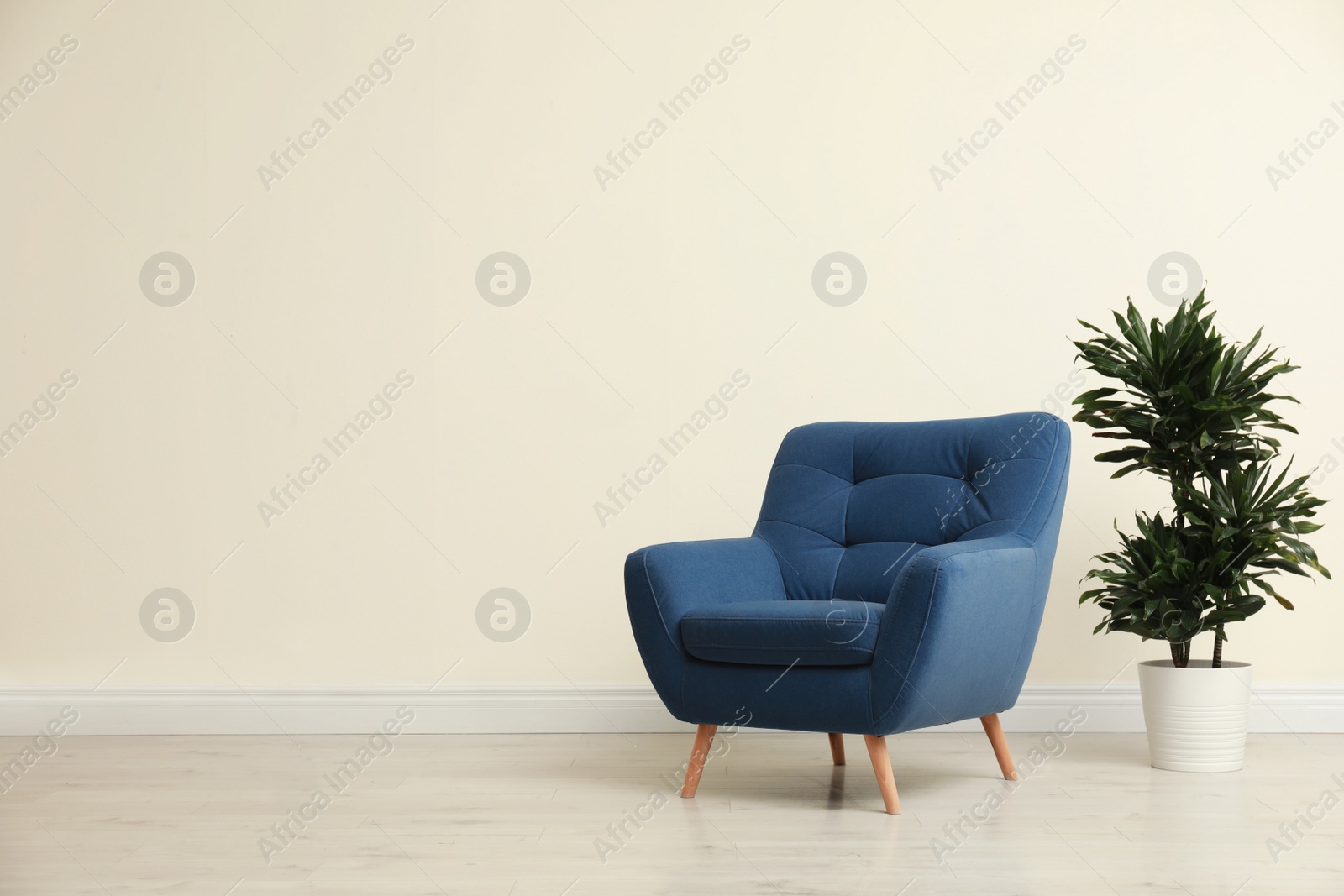 Photo of Stylish room interior with comfortable armchair and plant near beige wall. Space for text