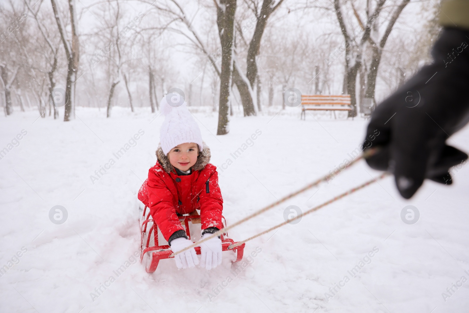 Photo of Father sledding his child outside on winter day, closeup. Christmas vacation