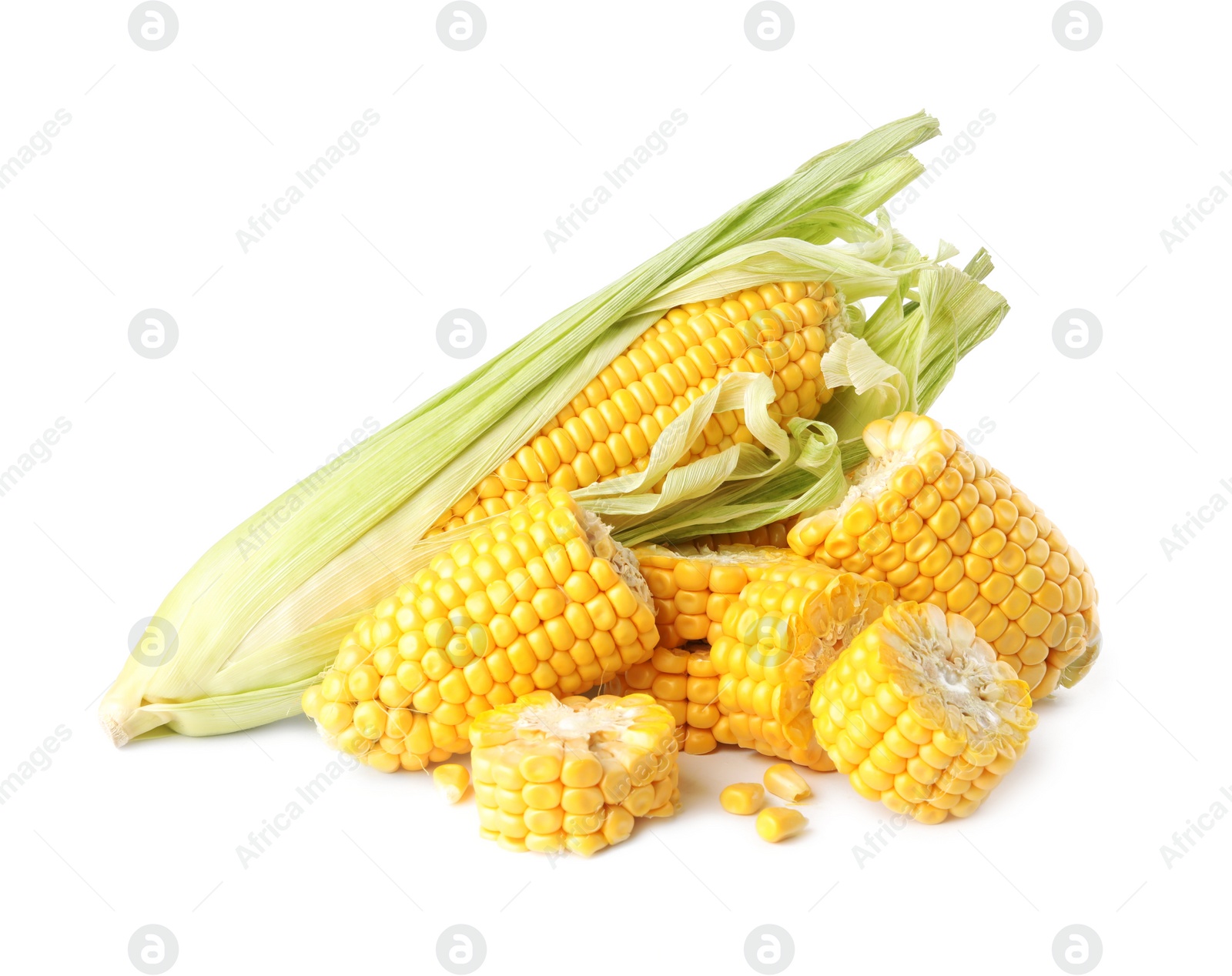 Photo of Ripe raw corn cobs on white background