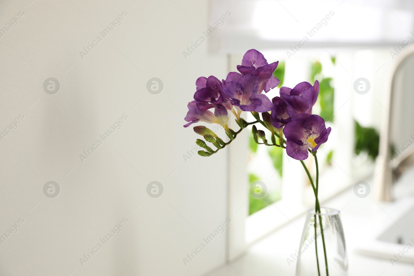 Photo of Beautiful purple freesia flowers on countertop in kitchen, closeup. Space for text