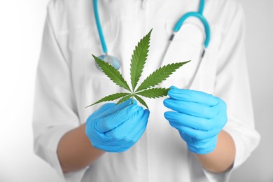 Photo of Doctor holding fresh hemp leaf on white background, closeup. Medical cannabis