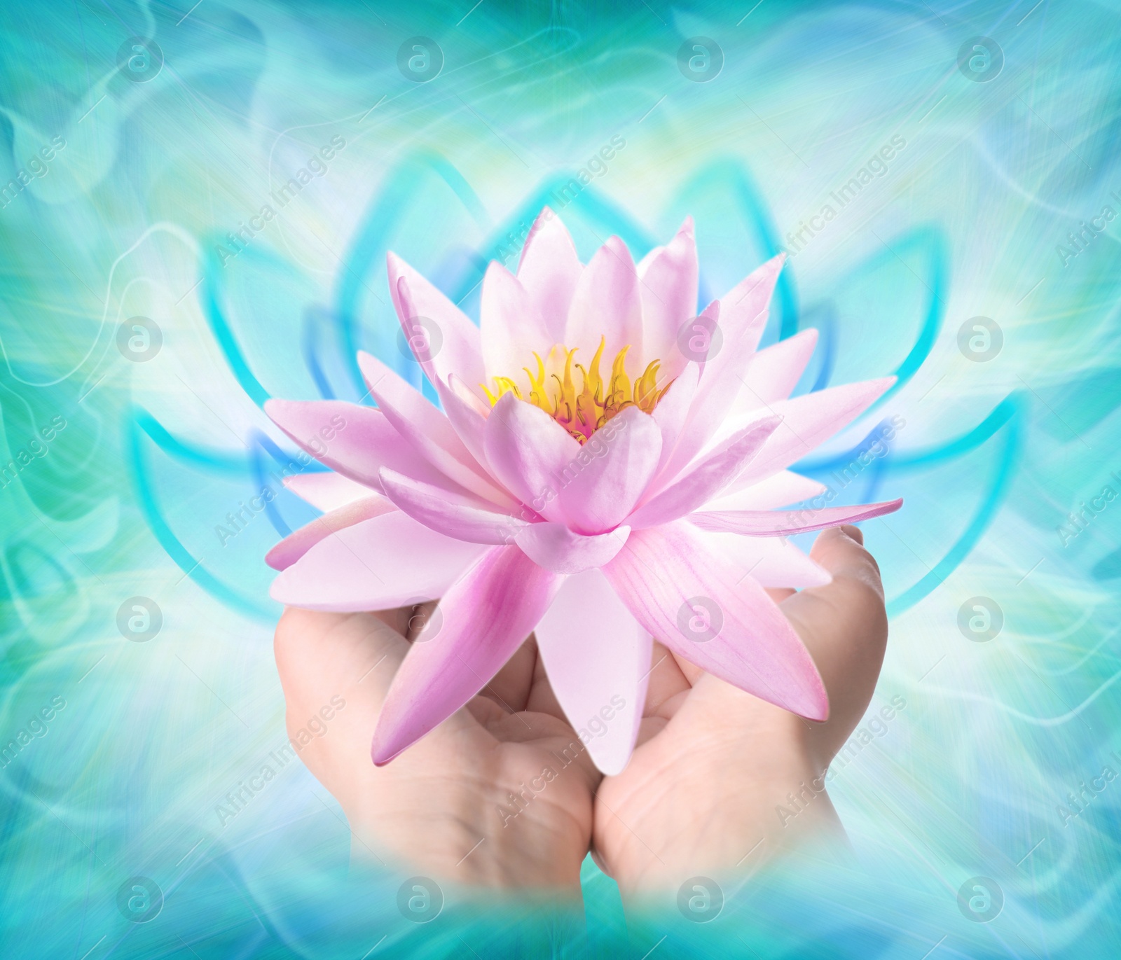 Image of Woman holding beautiful lotus flower on bright background, closeup