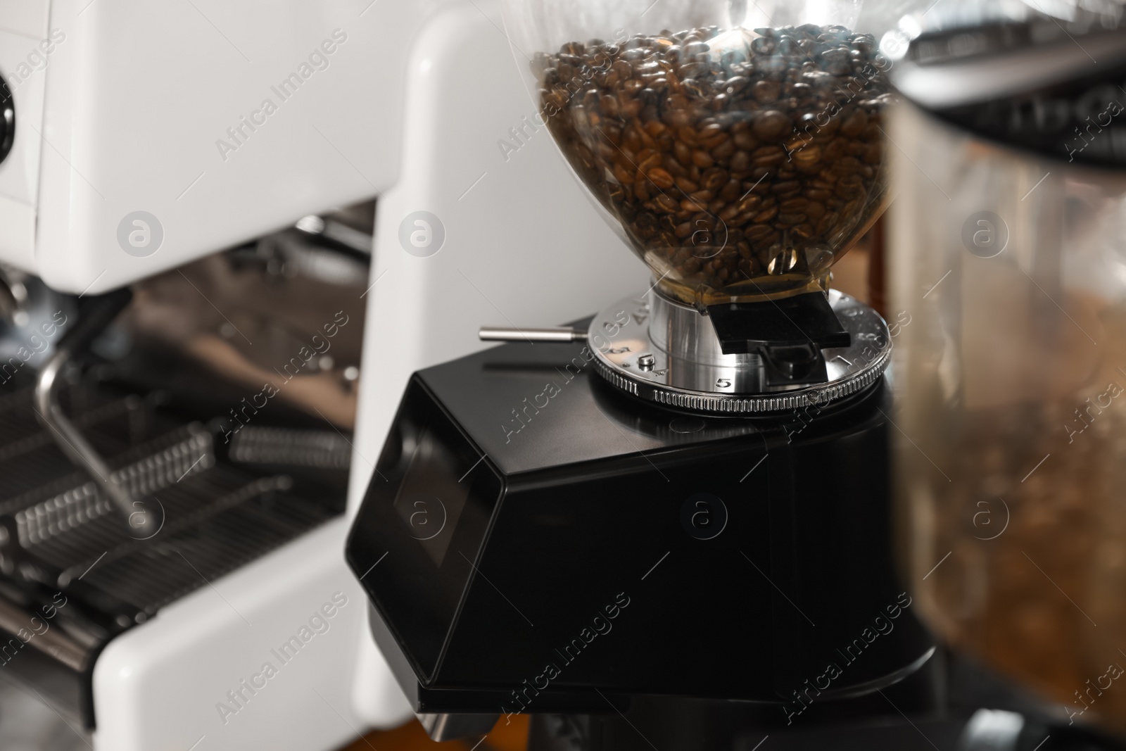 Photo of Coffee beans in grinder hopper, closeup. Space for text