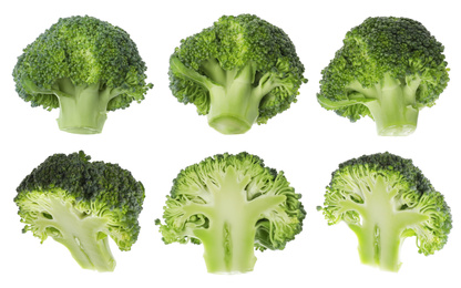 Image of Fresh cut and whole broccoli on white background