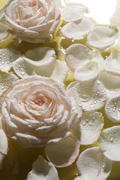 Photo of Beautiful roses and petals on water, closeup