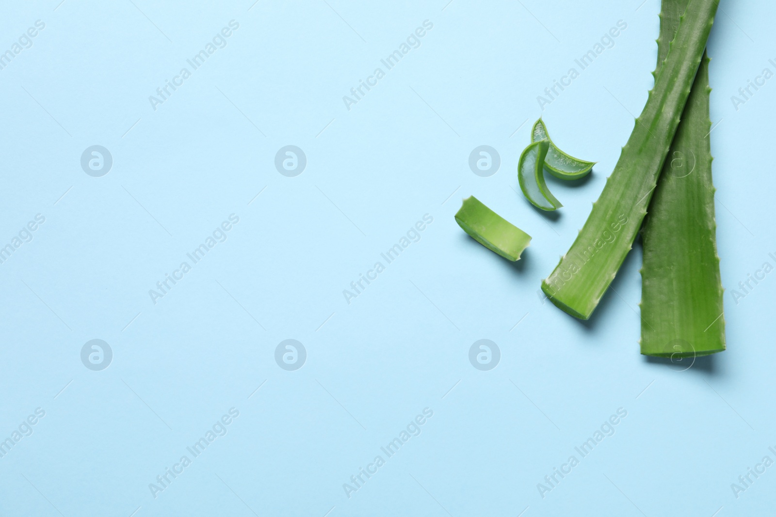 Photo of Cut aloe vera leaves on light blue background, flat lay. Space for text