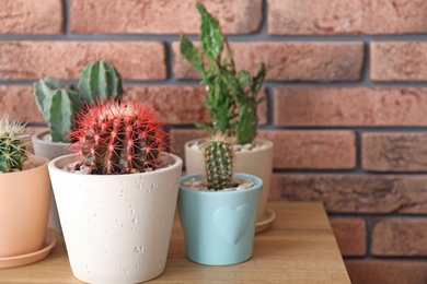 Beautiful cacti in flowerpots on table near brick wall