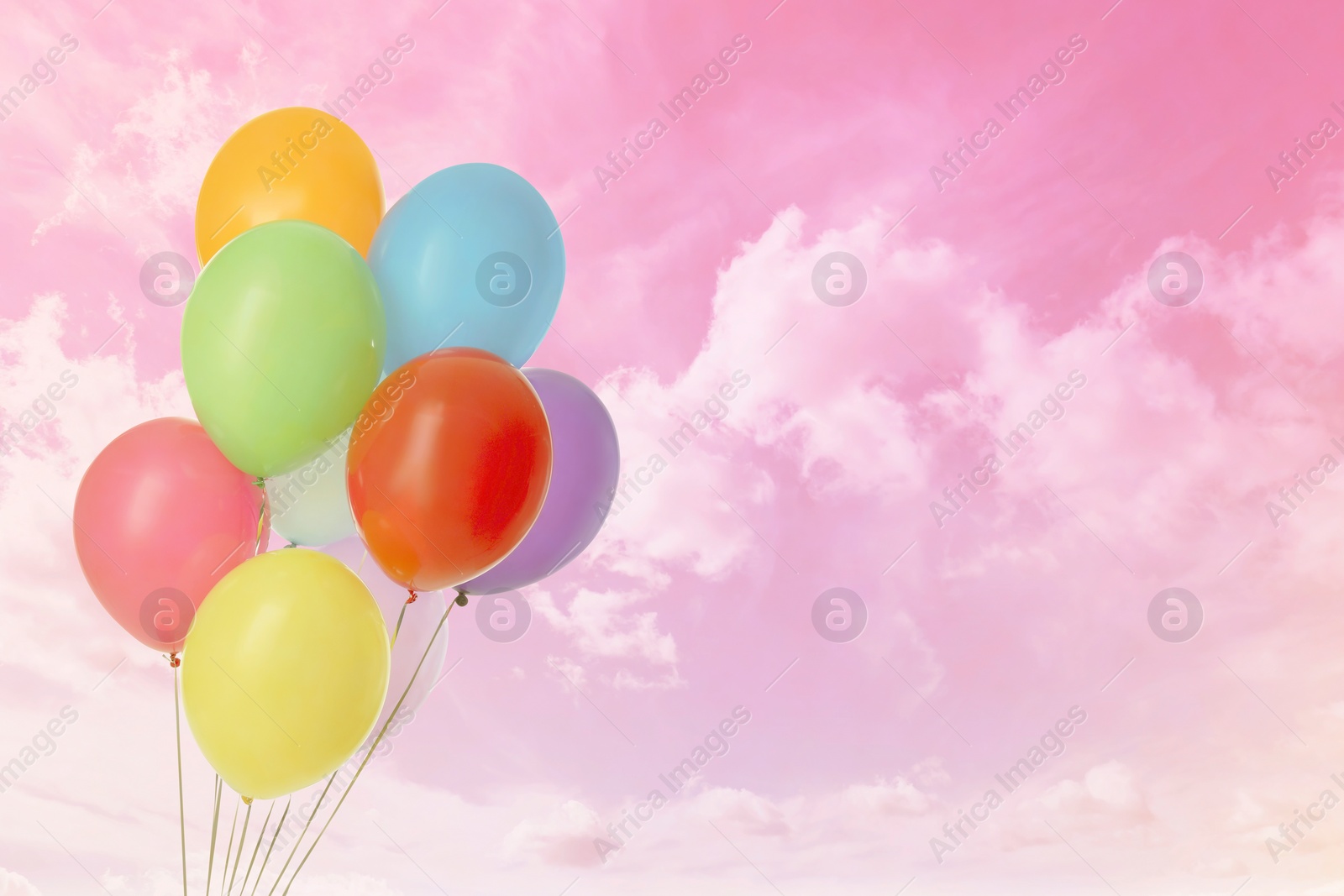 Image of Colorful balloons flying in pink sky with clouds, color toned. Space for text