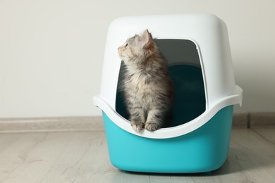 Photo of Cute fluffy kitten in closed litter box at home, space for text