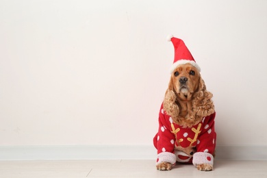 Adorable Cocker Spaniel in Christmas sweater and Santa hat near white wall, space for text