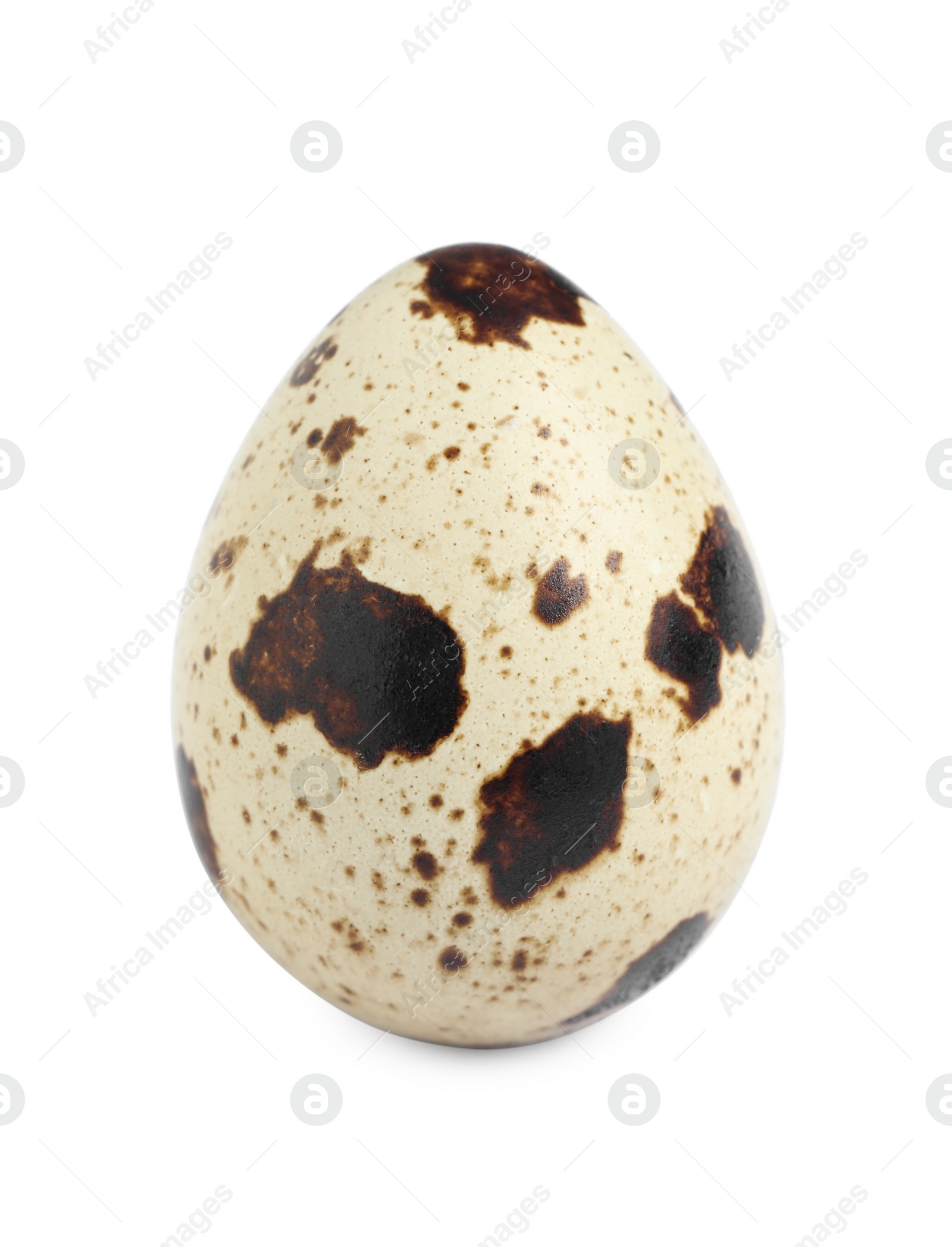 Photo of One beautiful quail egg isolated on white