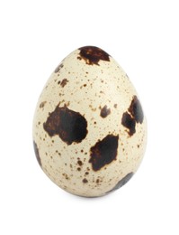 One beautiful quail egg isolated on white