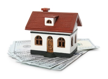 House model with money on white background