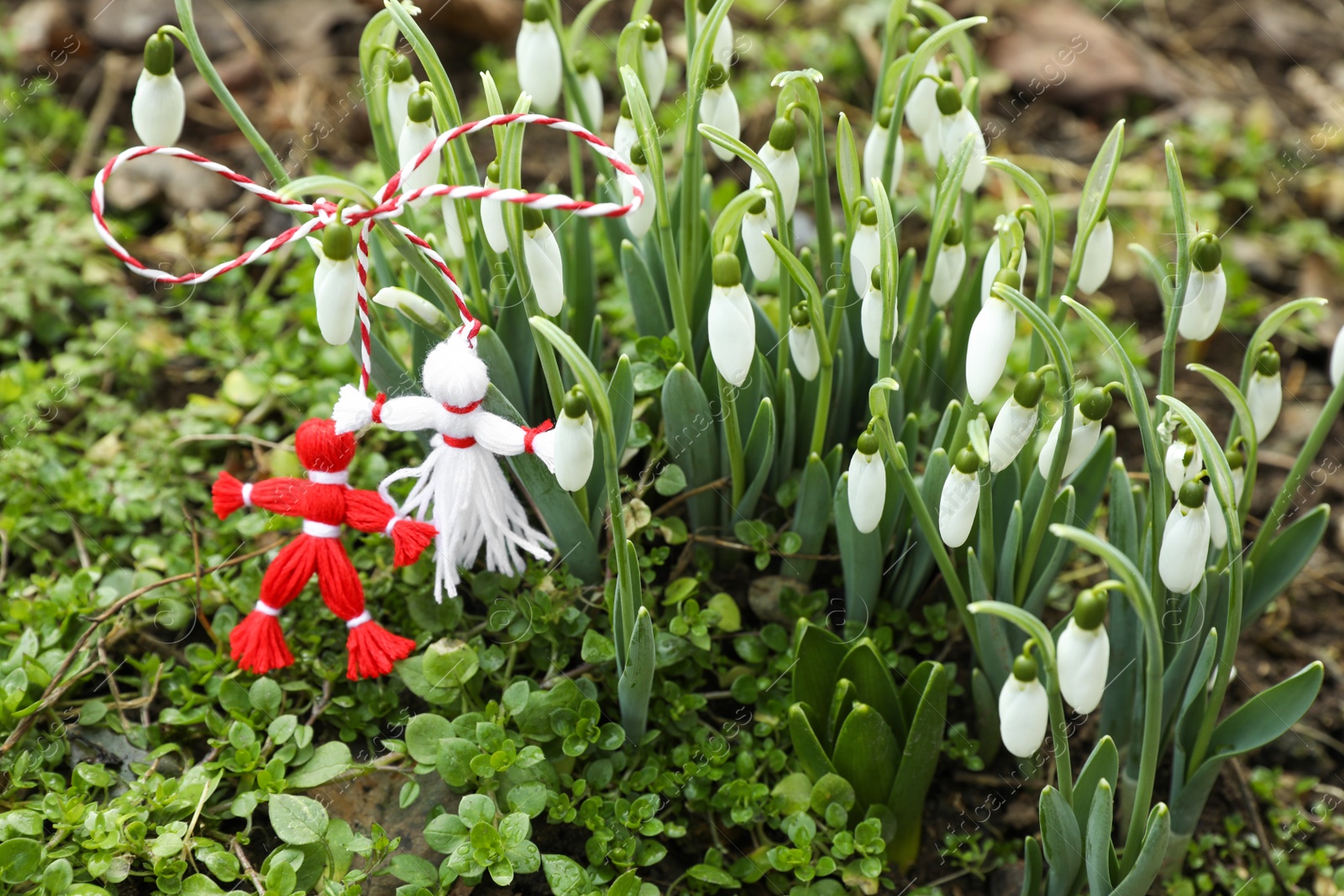 Photo of Traditional martisor and beautiful snowdrops outdoors. Symbol of first spring day