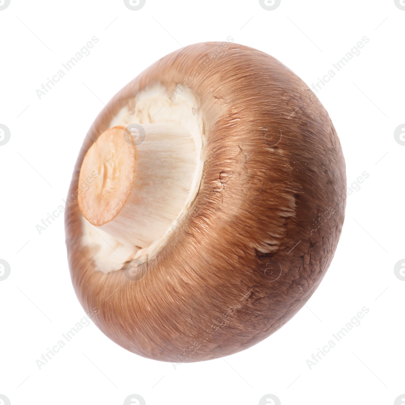 Photo of Fresh champignon mushroom isolated on white. Healthy food