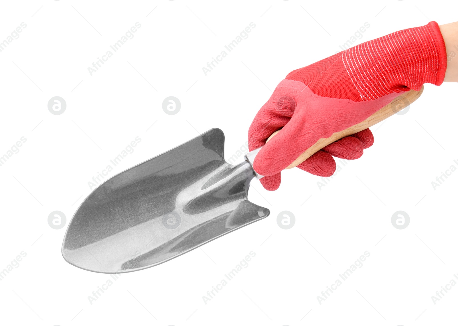 Photo of Woman in gardening glove holding trowel on white background, closeup