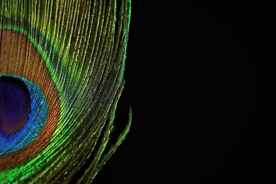 Photo of Beautiful bright peacock feather on black background, closeup. Space for text