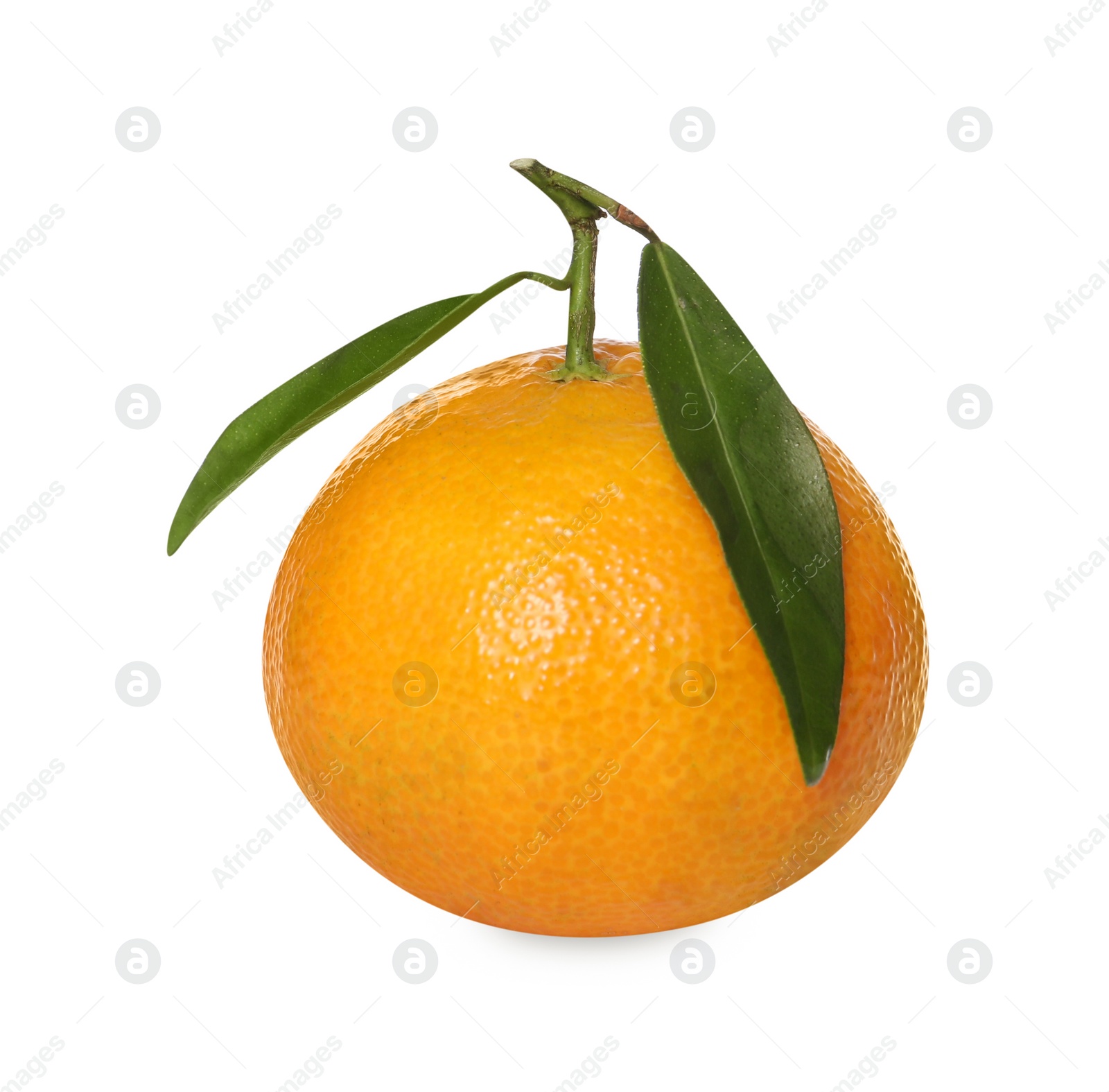 Photo of One fresh tangerine with green leaves isolated on white