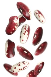 Many beans falling on white background, vertical banner design. Vegan diet 