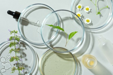 Photo of Flat lay composition with Petri dishes and plants on light grey background