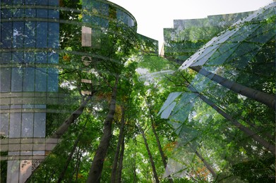 Image of Double exposure of green trees and buildings in city