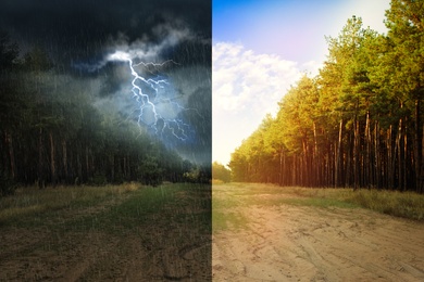 Wide sandy road near pine forest during sunny and stormy weather, collage