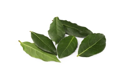 Photo of Aromatic fresh bay leaves isolated on white