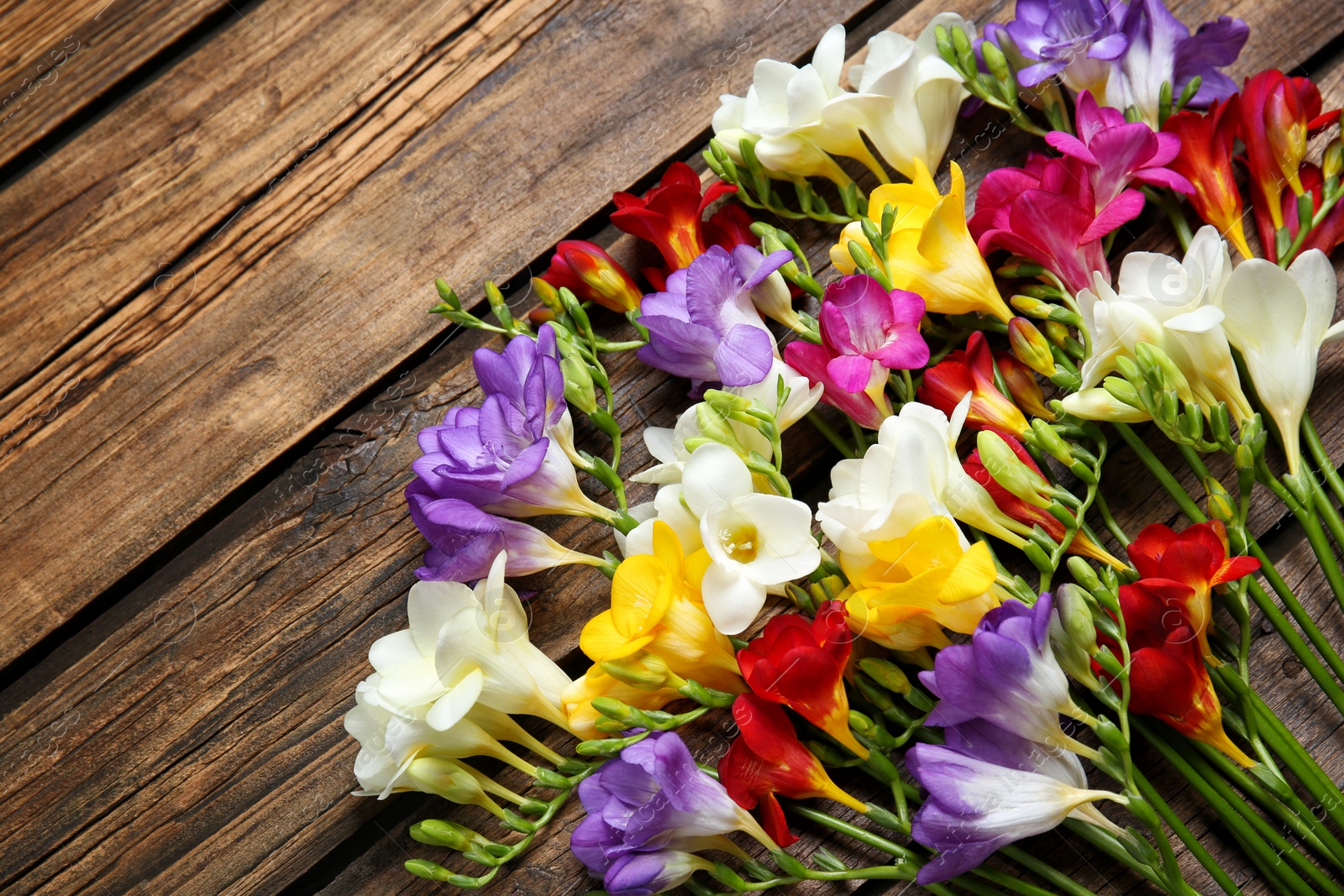 Photo of Beautiful freesia flowers on wooden background