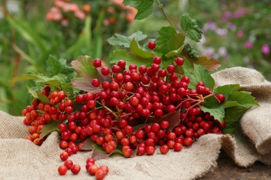 Branch of viburnum with ripe berries on table outdoors