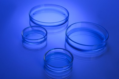 Petri dishes with liquid on table, toned in blue