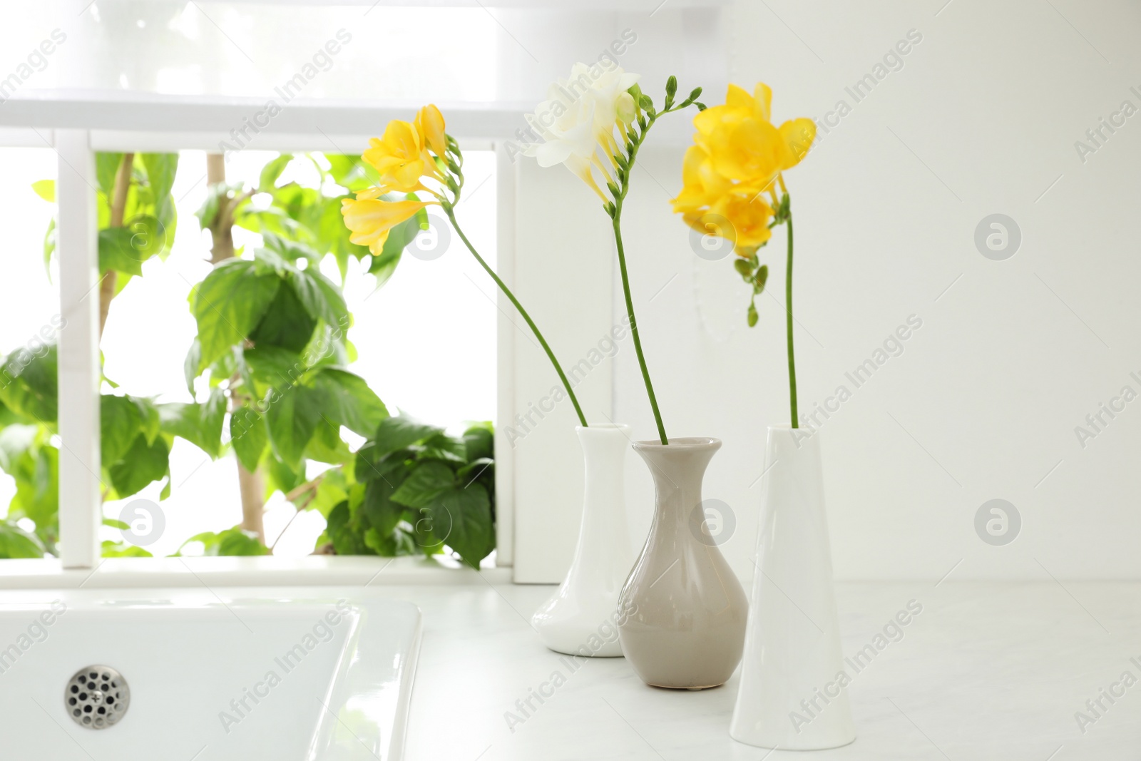 Photo of Beautiful freesia flowers on countertop near window