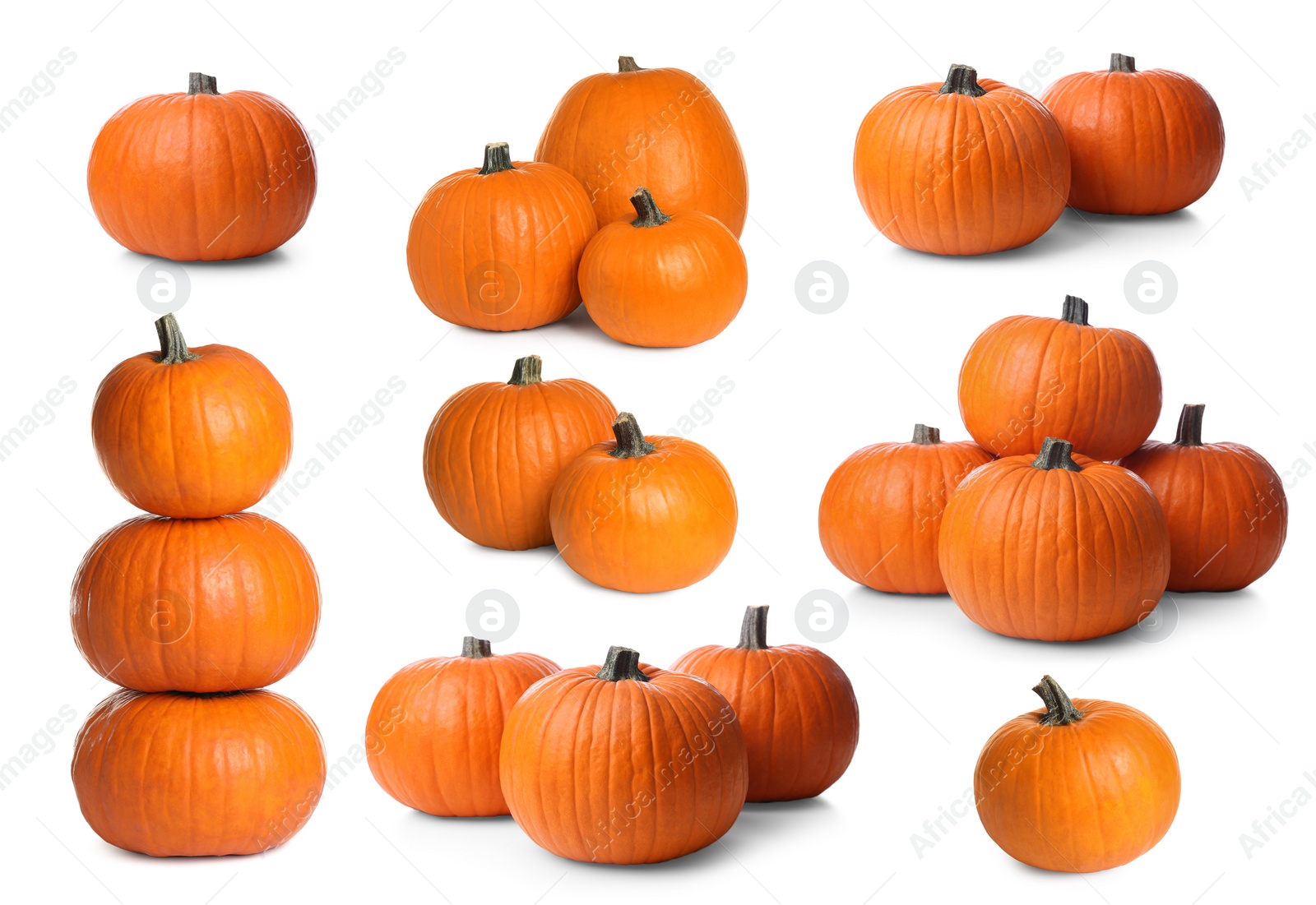 Image of Set of fresh orange pumpkins on white background