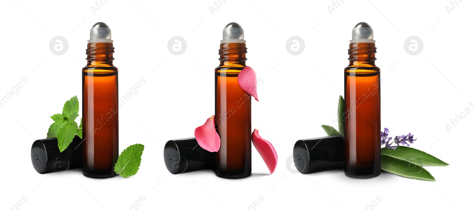 Image of Set of different essential oils in bottles and ingredients on white background